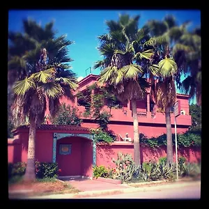 Dar Tahra *** Casablanca
